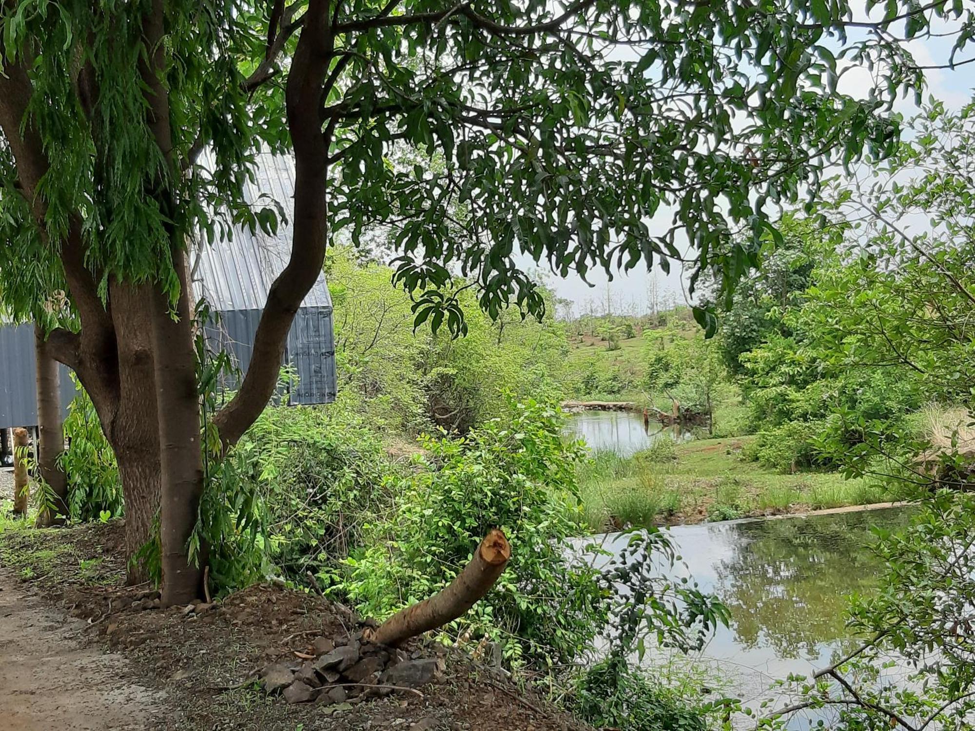 River Ranch Saralgaon Exteriér fotografie